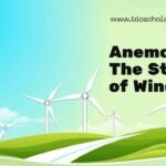 Anemology The Study of Winds Explained
