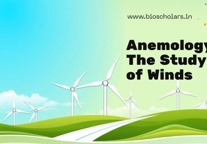Anemology The Study of Winds Explained